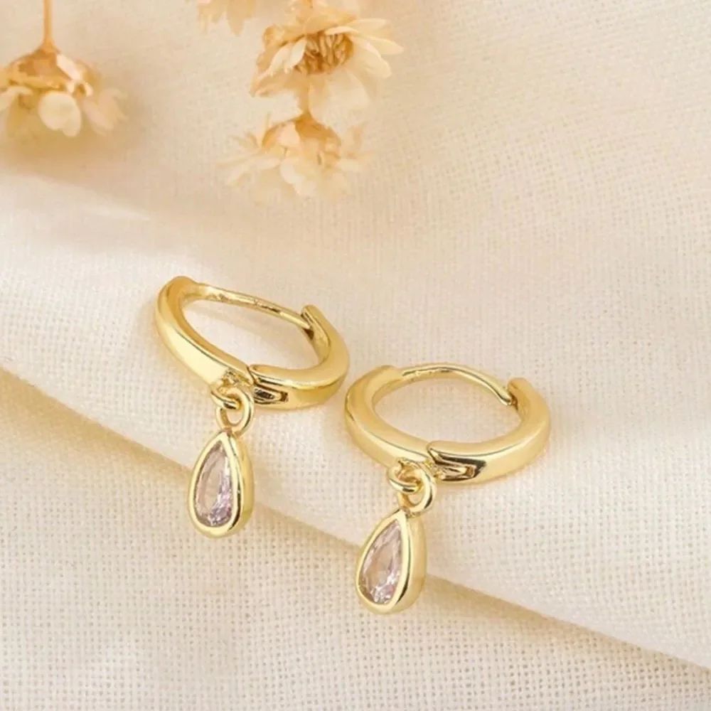 Diamond hoop earrings #2120